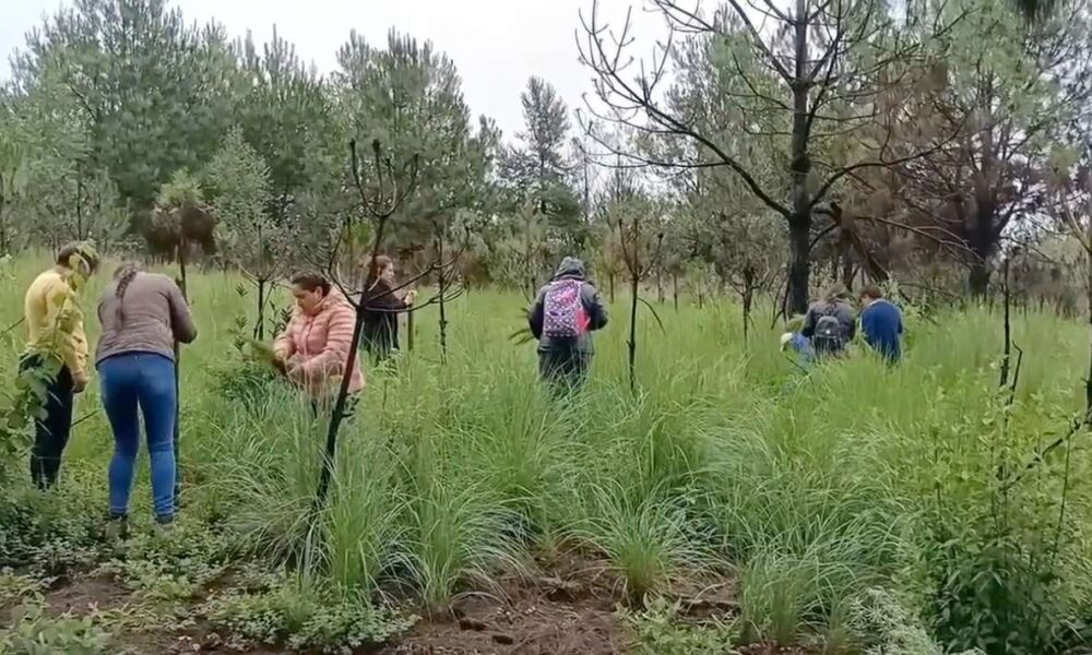 Morelos hacia un Futuro Agroecológico: Educación Ambiental para Todos