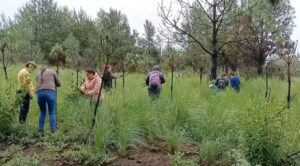 Morelos hacia un Futuro Agroecológico: Educación Ambiental para Todos