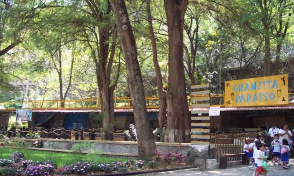 Avanza la Rehabilitación del Parque Barranca Chapultepec con un 85% de Progreso