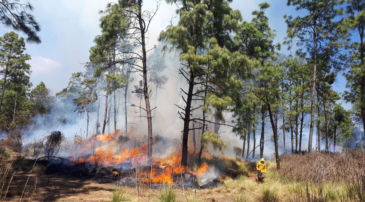 CEECA reporta 111 incendios forestales en Morelos durante el 2024, 90% por quemas agrícolas