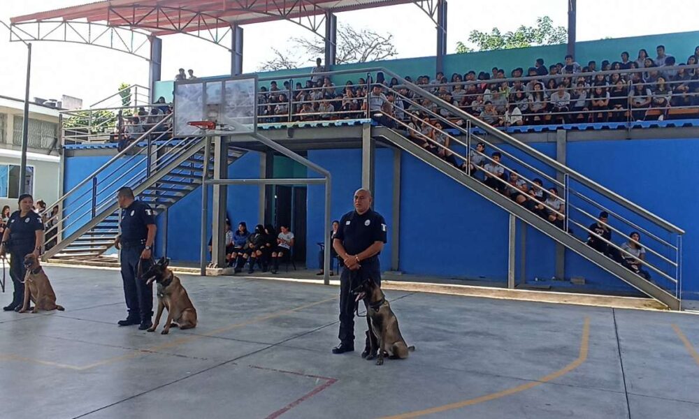 Unidad Canina de Seguridad Ciudadana realiza demostraciones en la UAEM de Puente de Ixtla