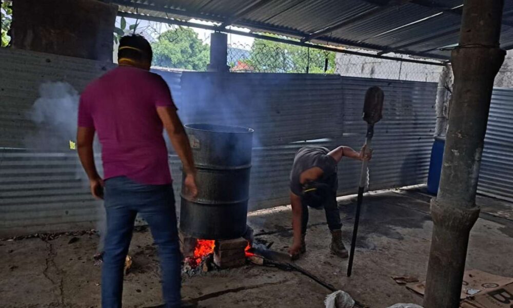 Innovación en Jojutla: Sustitución de fertilizantes químicos por bio-insumos en la agricultura