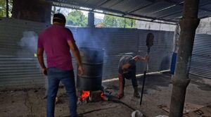 Innovación en Jojutla: Sustitución de fertilizantes químicos por bio-insumos en la agricultura