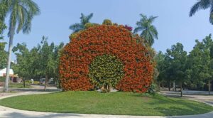 Jardines Florales de Jojutla listos para recibir 8 mil visitantes en Día de Muertos