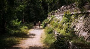 Descubren antigua ciudad maya en Campeche con tecnología LiDAR