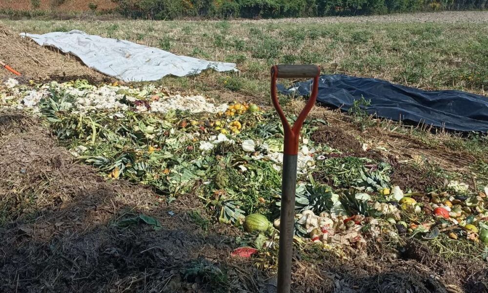 Impulso a la Composta Municipal en Puente de Ixtla