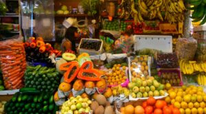 Frutas y verduras de temporada: aliados para tu salud en otoño e invierno