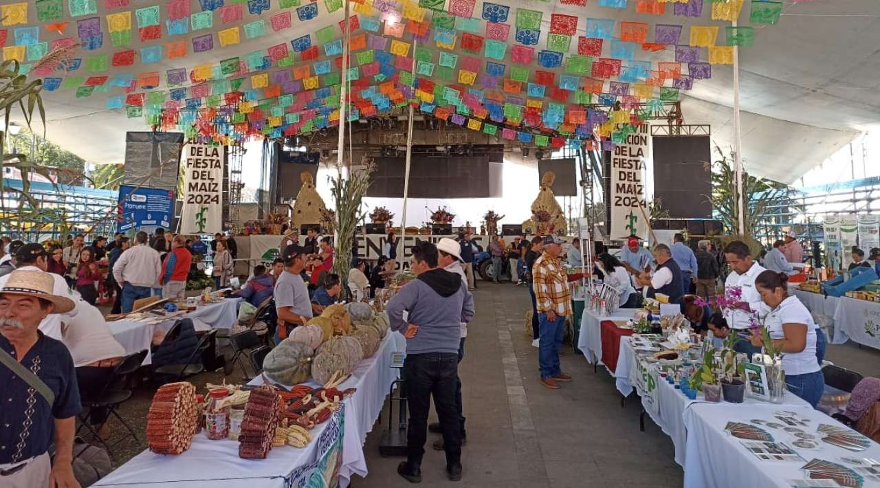 Tercer Festival de Maíces Nativos en Totolapan resalta la tradición y cultura del maíz criollo