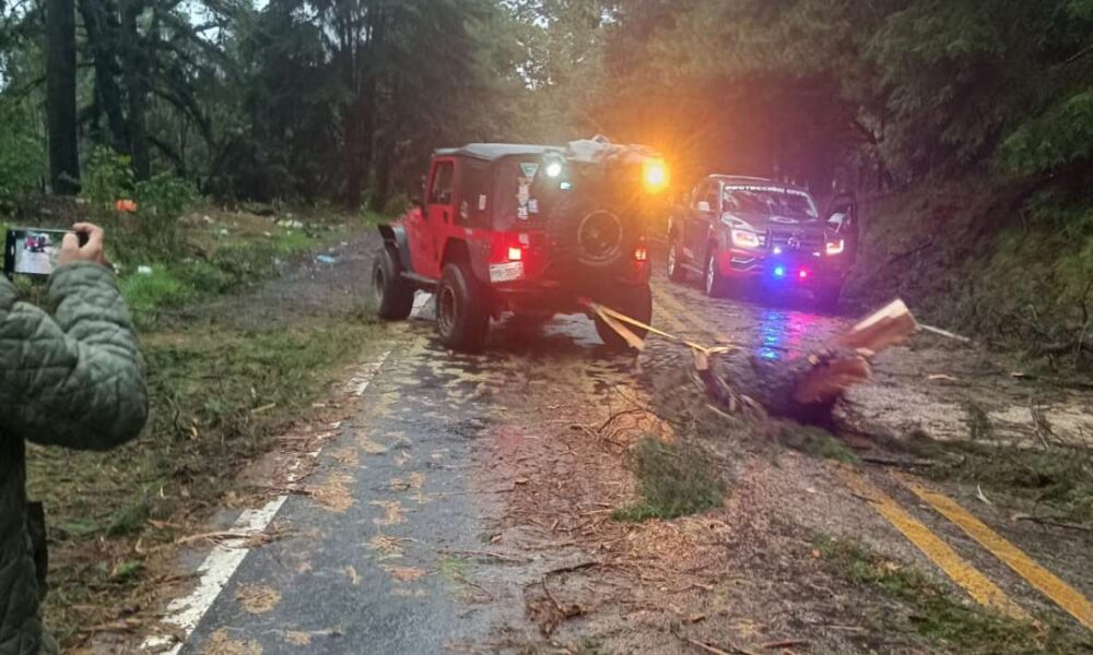 Lluvias Causan Formación de Baches en la Carretera Cuernavaca-México, Provocando Accidentes