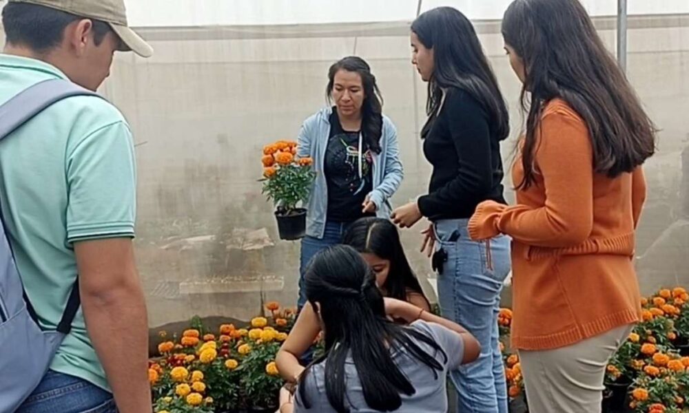 Estudiantes de la UAEM Cultivan Cempasúchil para el Día de Muertos