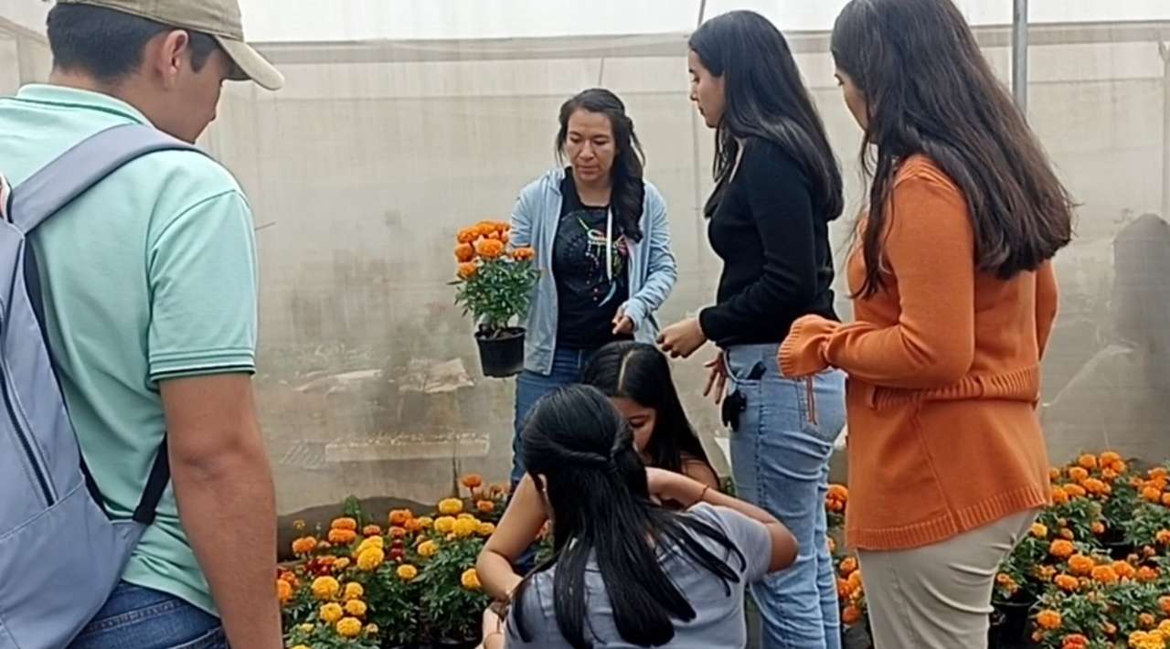 Estudiantes de la UAEM Cultivan Cempasúchil para el Día de Muertos