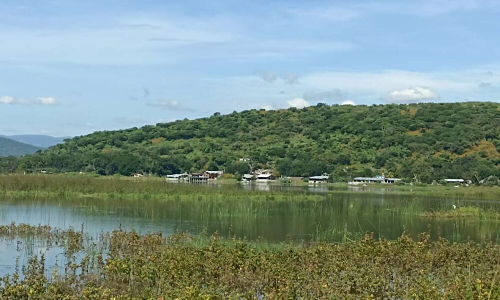 Las lluvias benefician a la Laguna de Coatetelco, alcanzando el 70% de su capacidad