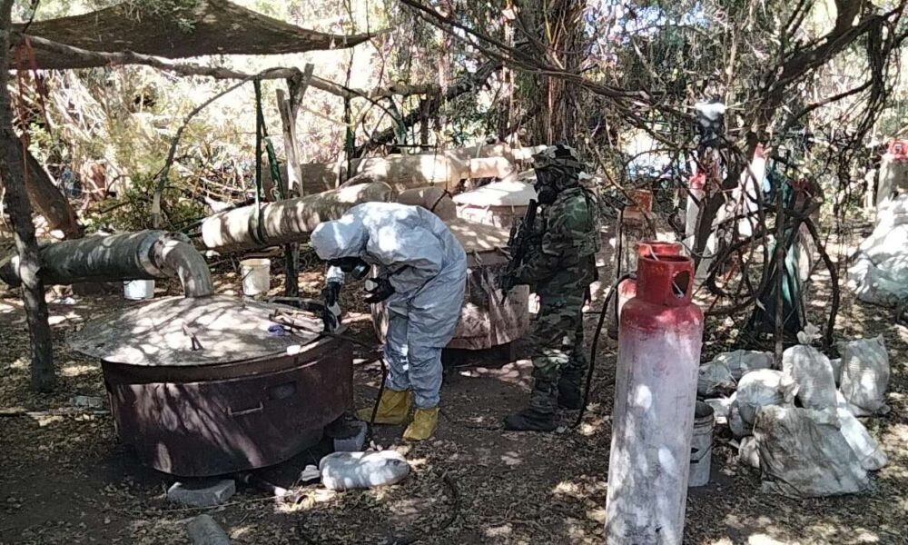 Secretaría de Marina desmantela laboratorios clandestinos y plantíos de Marihuana en Nayarit y Sinaloa