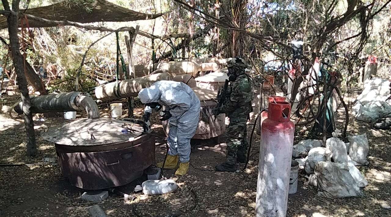 Secretaría de Marina desmantela laboratorios clandestinos y plantíos de Marihuana en Nayarit y Sinaloa