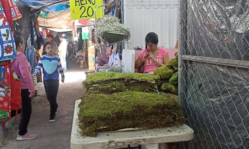 Invitan comerciantes del “Adolfo López Mateos” a visitar el tianguis navideño