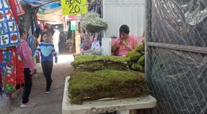 Invitan comerciantes del “Adolfo López Mateos” a visitar el tianguis navideño