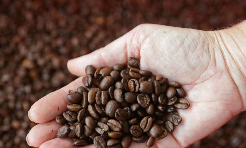 Precios del café alcanzan máximos históricos en casi 50 años por mal clima en Brasil y Vietnam