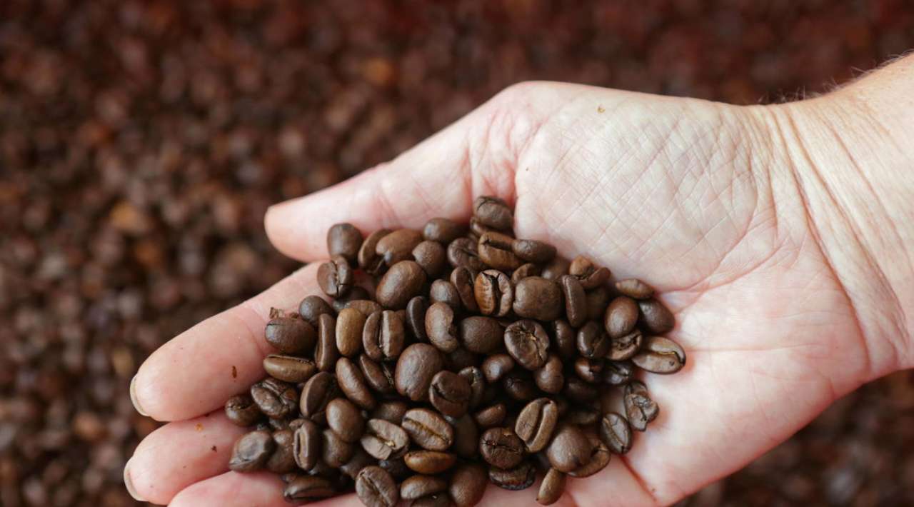 Precios del café alcanzan máximos históricos en casi 50 años por mal clima en Brasil y Vietnam