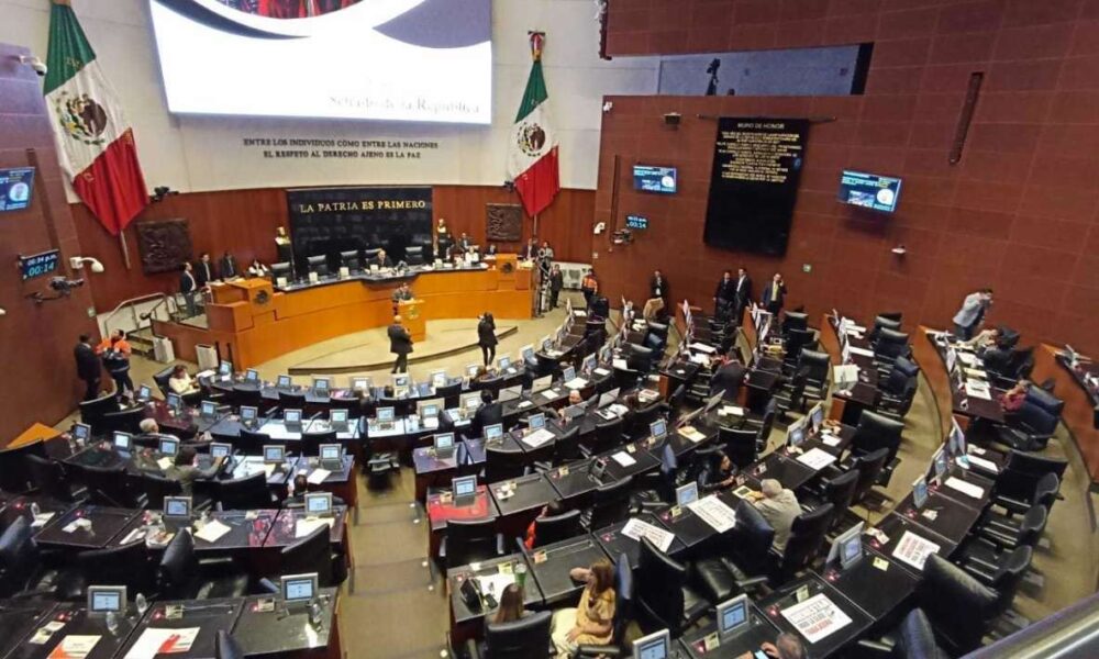 Senado aprueba registro para proteger a mujeres