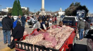 Rematan toneladas de frijol y cebolla en Chihuahua