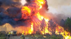 Incendio forestal en la Patagonia Argentina consume 2 mil hectáreas