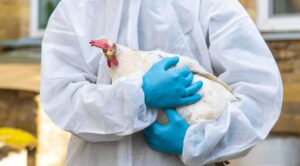 Primera muerte humana por Gripe Aviar H5N1 en Estados Unidos enciende alarmas