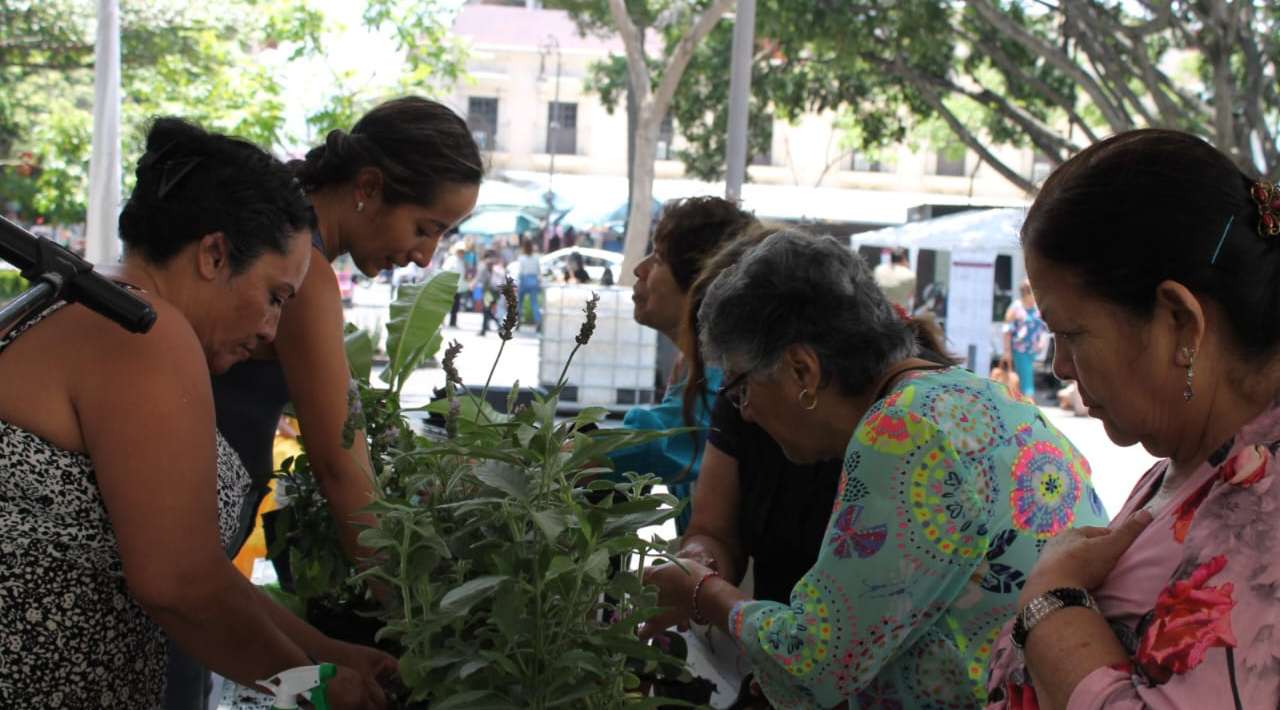 Anuncian La Caravana de Medicina tradicional y Alternativa en el Centro de Cuernavaca.