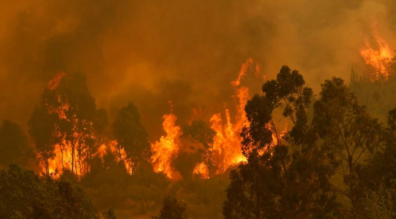 Presidente de Chile decreta estado de emergencia y toque de queda ante ola de incendios