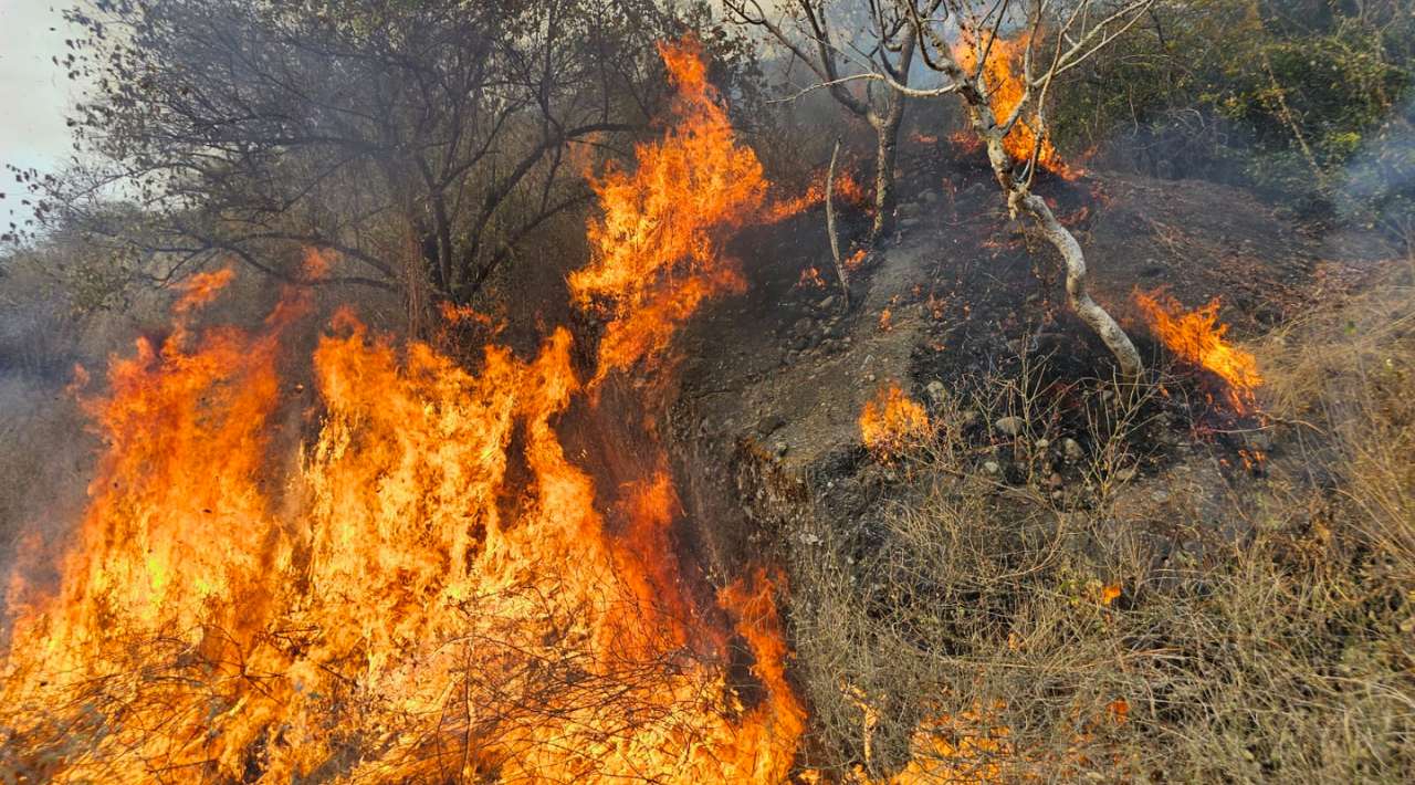 Protección Civil de Amacuzac Atiende tres incendios de pastizales; Afectaron 18 Hectáreas