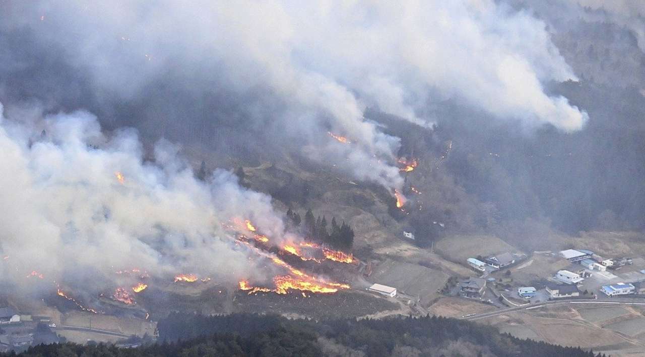 Japón enfrenta el peor incendio forestal en medio siglo