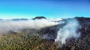Suman 114, los incendios forestales activos en el país, pero sin riesgo para la población