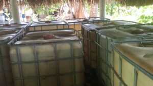 Aseguran más de 500 mil litros de hidrocarburo en Tabasco