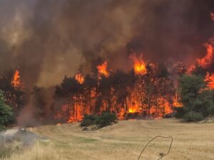 Alerta máxima por incendios en Jerusalén