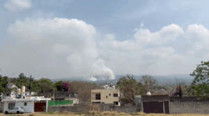 Combaten comuneros y brigadistas nuevo incendio forestal en Ocotepec
