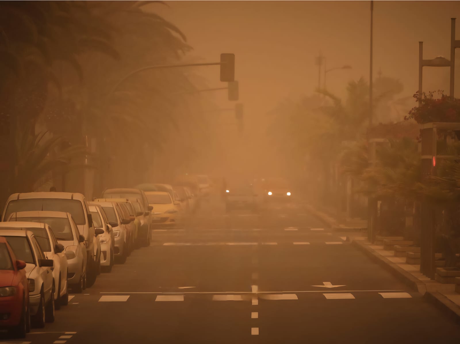 Nube de polvo del Sahara impactará a Florida el fin de semana