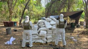 Desmantelan narcolaboratorio en Michoacán, producían 2 toneladas de droga sintética a la semana