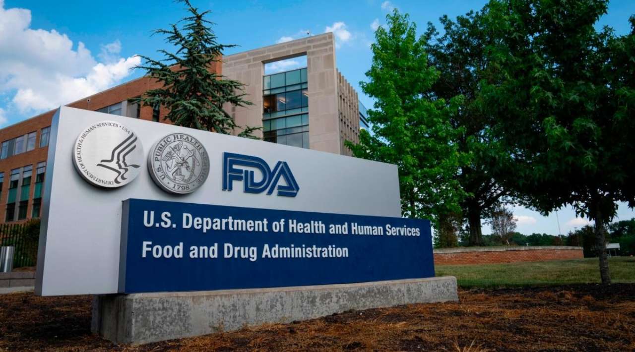 La FDA retira pepinos por brote de salmonela en 15 estados