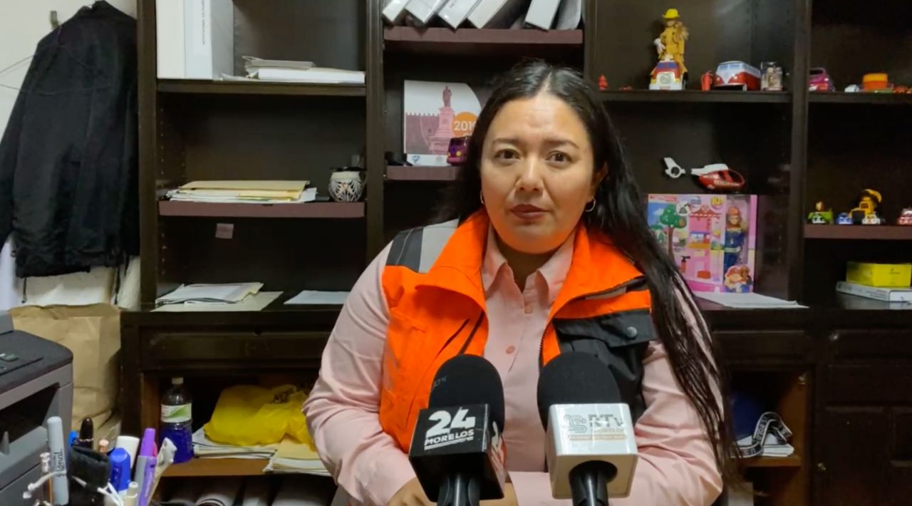 Lluvias provocan caída de árboles y colapso de bardas en Cuernavaca