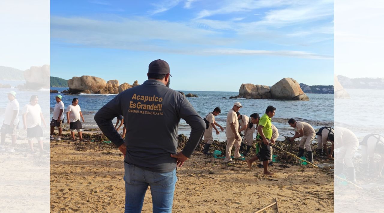Retiran 20 toneladas de lirio acuático en playas de Acapulco