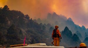 Incendios forestales arrasan zona montañosa de Tecate