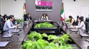 Veracruz hará conteo voto por voto en elección judicial tras fallas en sistema