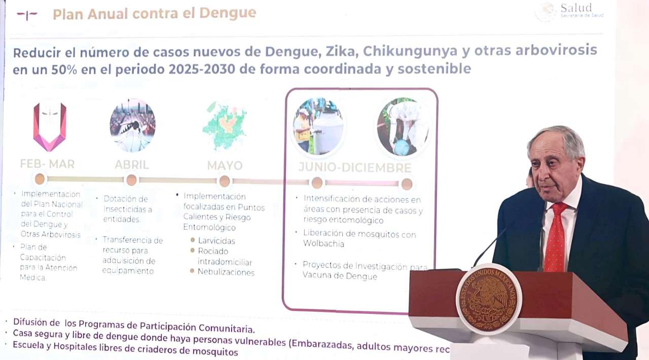 Salud lanza plan nacional contra el dengue