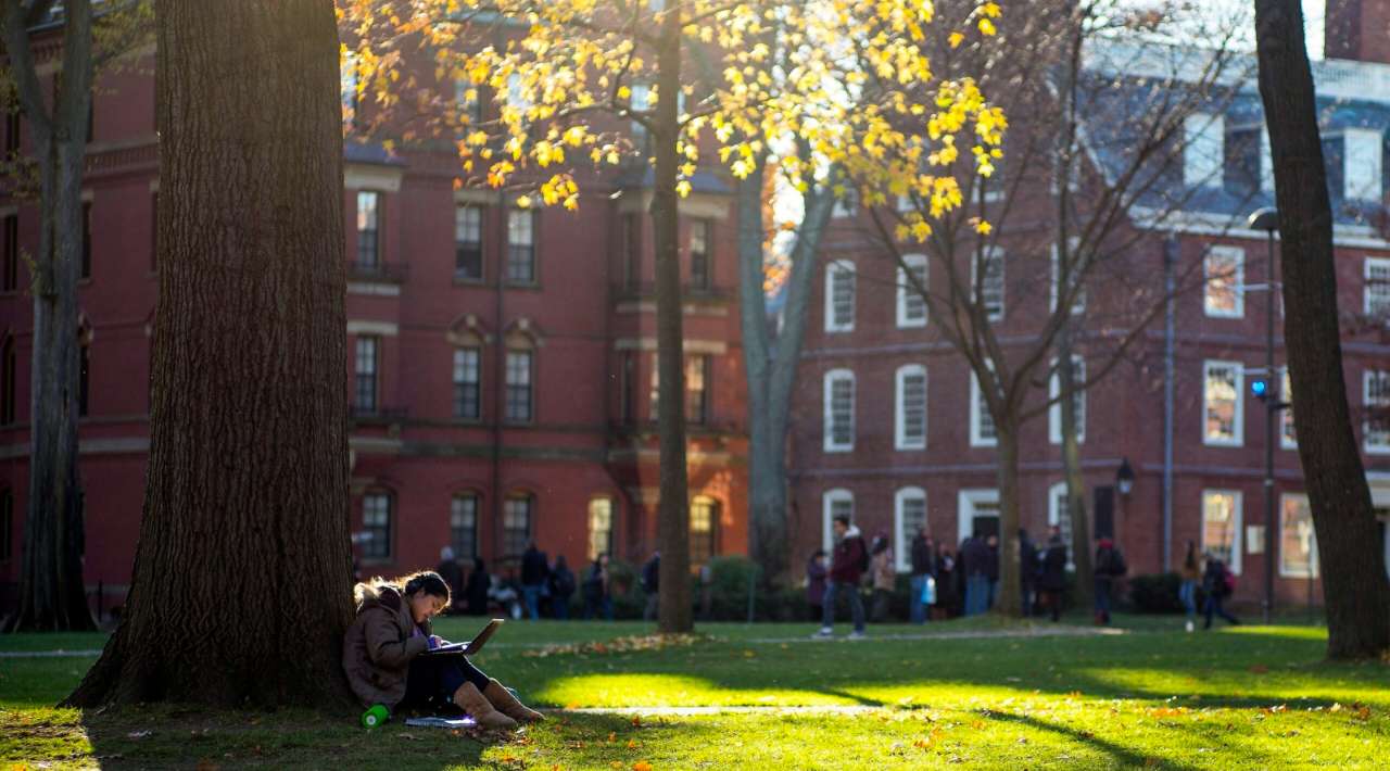 Jueza bloquea indefinidamente veto de Trump a estudiantes extranjeros en Harvard