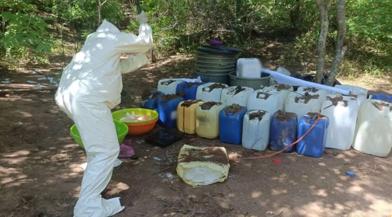 Desmantelan laboratorios de metanfetamina en Sinaloa; golpe al crimen organizado supera los 150 mdp
