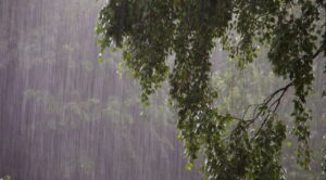 Lluvias comienzan a afectar escuelas en Cuernavaca: SNTE