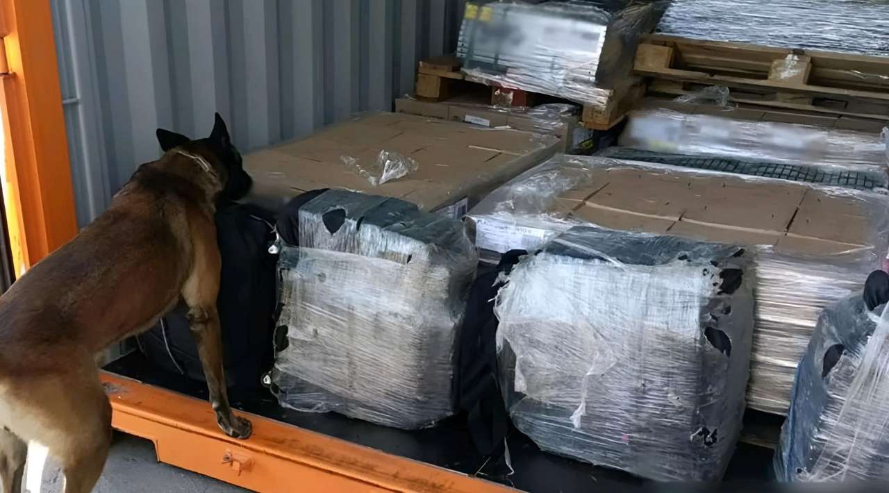 Decomisan 200 kilos de cocaína en la Aduana de Ensenada BC, con valor de 48 mdp
