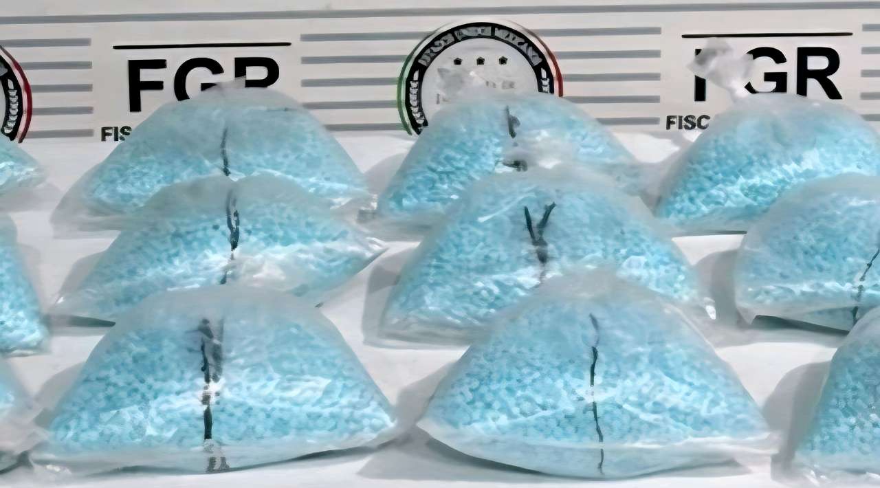 FGR incauta 200 mil pastillas de fentanilo en autobús de pasajeros en Sonora