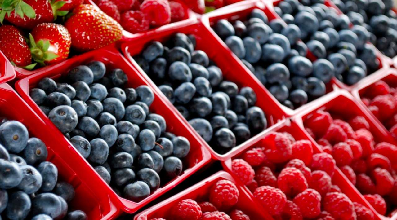 FDA emite alerta sanitaria por arándanos contaminados con listeria en EEUU