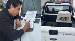 Rescatan a dos perritos que estaban sufriendo maltrato animal en Cuernavaca