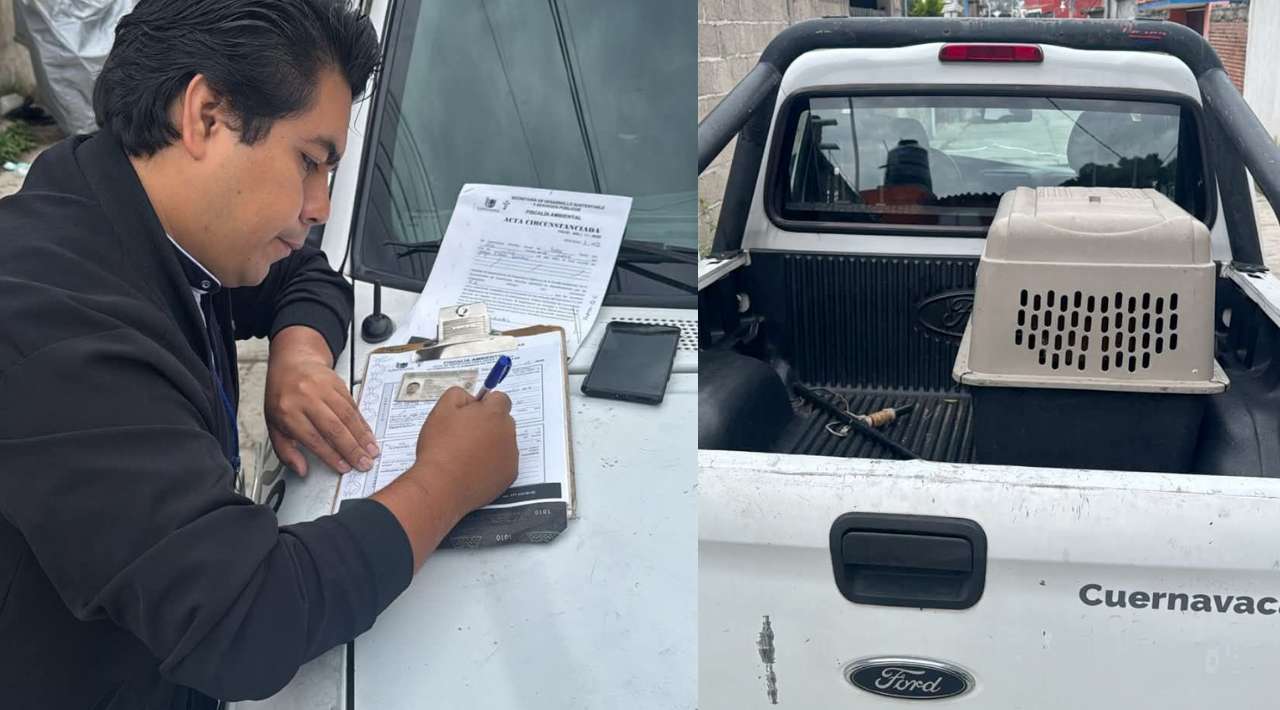 Rescatan a dos perritos que estaban sufriendo maltrato animal en Cuernavaca